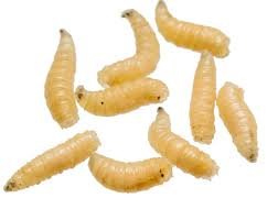 1780602510_d5f430efc0fe0295b06e.jpg