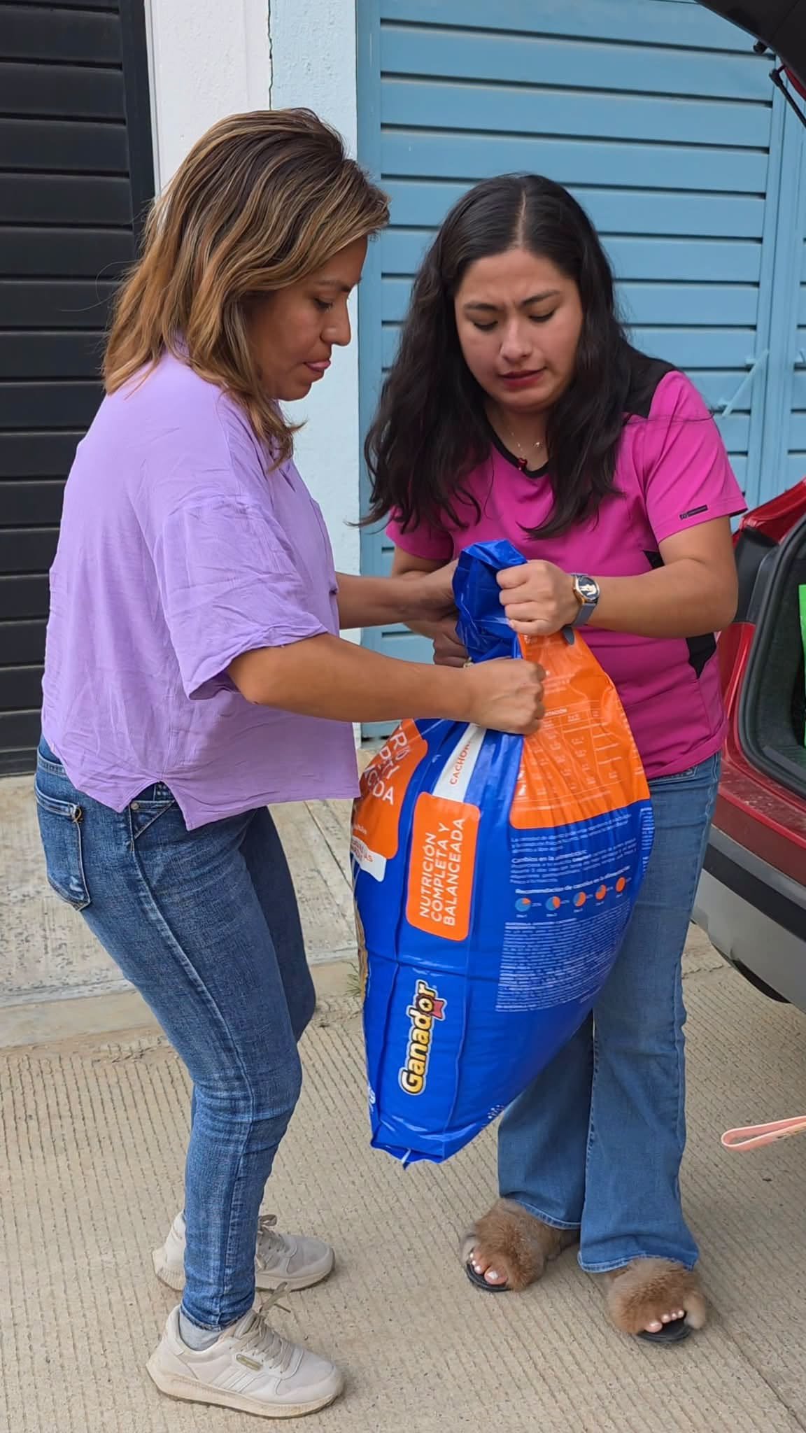 1788963317_27de48a3d58802febaac.jpg