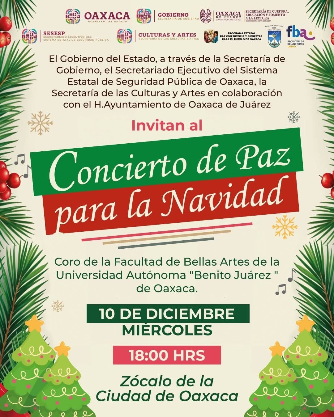 El evento se realizará este miércoles 10 de diciembre a las 18:00 horas con entrada libre.
