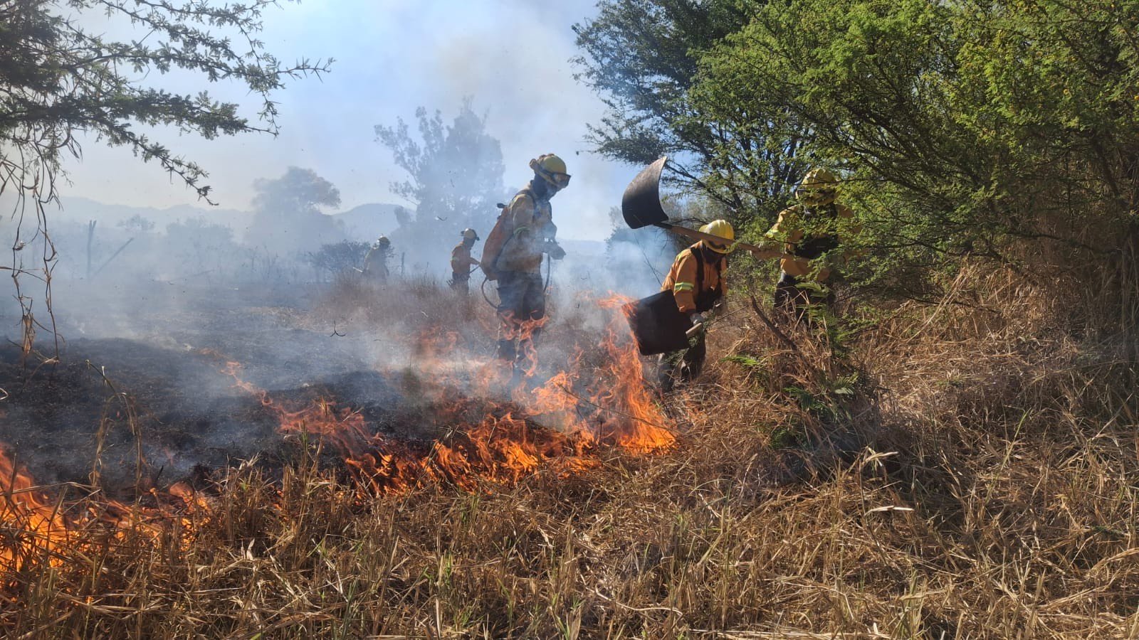 𝙀𝙡 𝙛𝙪𝙚𝙜𝙤 𝙨𝙚 𝙧𝙚𝙜𝙞𝙨𝙩𝙧𝙖 𝙚𝙣 𝙚𝙡 𝙥𝙖𝙧𝙖𝙟𝙚 𝙇𝙖 𝙋𝙚ñ𝙖; 𝙖𝙪𝙩𝙤𝙧𝙞𝙙𝙖𝙙𝙚𝙨 𝙮 𝙫𝙤𝙡𝙪𝙣𝙩𝙖𝙧𝙞𝙖𝙙𝙤 𝙙𝙚 𝙖𝙢𝙗𝙖𝙨 𝙘𝙤𝙢𝙪𝙣𝙞𝙙𝙖𝙙𝙚𝙨 𝙩𝙧𝙖𝙗𝙖𝙟𝙖𝙣 𝙙𝙚 𝙛𝙤𝙧𝙢𝙖 𝙘𝙤𝙣𝙟𝙪𝙣𝙩𝙖 𝙥𝙖𝙧𝙖 𝙘𝙤𝙣𝙩𝙚𝙣𝙚𝙧𝙡𝙤.