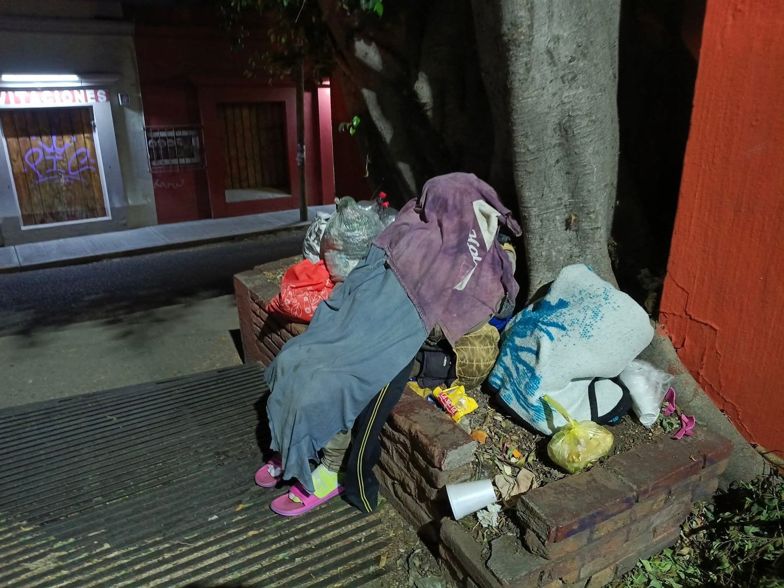 𝙋𝙚𝙧𝙢𝙖𝙣𝙚𝙘𝙚 𝙙𝙚𝙨𝙙𝙚 𝙝𝙖𝙘𝙚 𝙪𝙣𝙖 𝙨𝙚𝙢𝙖𝙣𝙖 𝙗𝙖𝙟𝙤 𝙪𝙣 á𝙧𝙗𝙤𝙡, 𝙨𝙞𝙣 𝙧𝙚𝙨𝙜𝙪𝙖𝙧𝙙𝙤 𝙖𝙙𝙚𝙘𝙪𝙖𝙙𝙤.