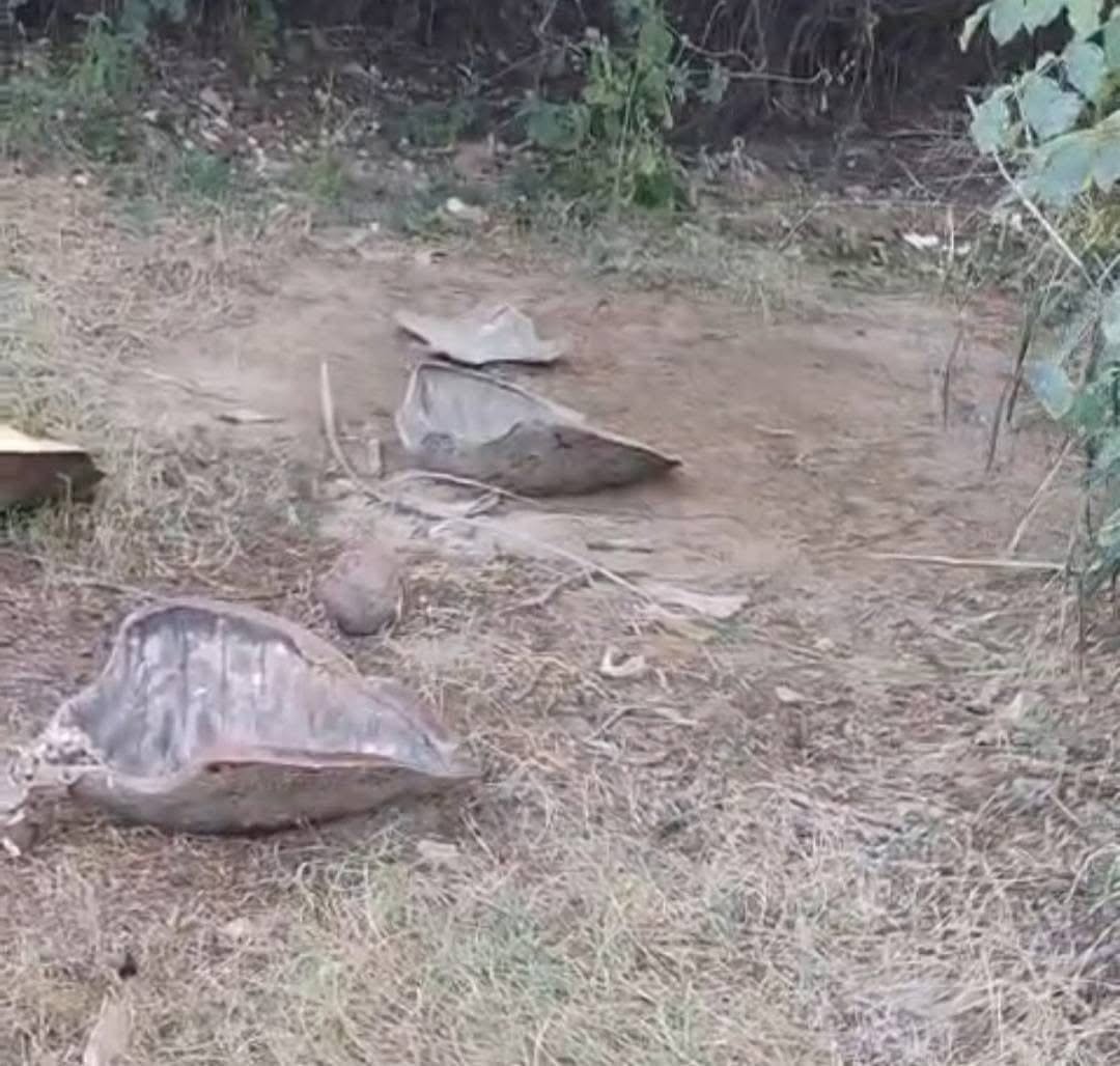 𝙀𝙡 𝙝𝙖𝙡𝙡𝙖𝙯𝙜𝙤 𝙤𝙘𝙪𝙧𝙧𝙞ó 𝙚𝙣 𝙇𝙖 𝘽𝙖𝙧𝙧𝙖 𝙙𝙚𝙡 𝙋𝙤𝙩𝙧𝙚𝙧𝙤, 𝙚𝙣 𝙎𝙖𝙣𝙩𝙖 𝙈𝙖𝙧í𝙖 𝙏𝙤𝙣𝙖𝙢𝙚𝙘𝙖