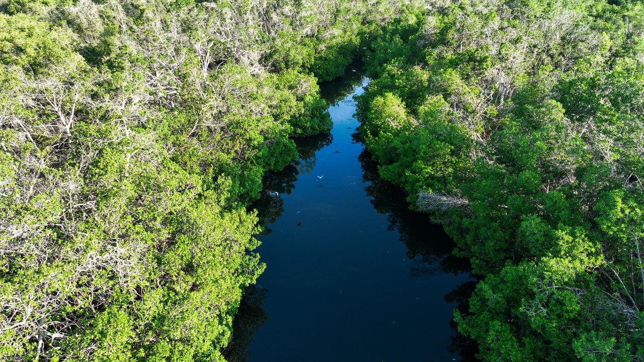 𝙎𝙚𝙘𝙩𝙪𝙧 𝙊𝙖𝙭𝙖𝙘𝙖 𝙧𝙚𝙨𝙖𝙡𝙩𝙖 𝙨𝙪𝙨 𝙥𝙡𝙖𝙮𝙖𝙨, 𝙢𝙖𝙣𝙜𝙡𝙖𝙧𝙚𝙨 𝙮 𝙧𝙚𝙘𝙤𝙧𝙧𝙞𝙙𝙤𝙨 𝙣𝙤𝙘𝙩𝙪𝙧𝙣𝙤𝙨 𝙘𝙤𝙣 𝙗𝙞𝙤𝙡𝙪𝙢𝙞𝙣𝙞𝙨𝙘𝙚𝙣𝙘𝙞𝙖