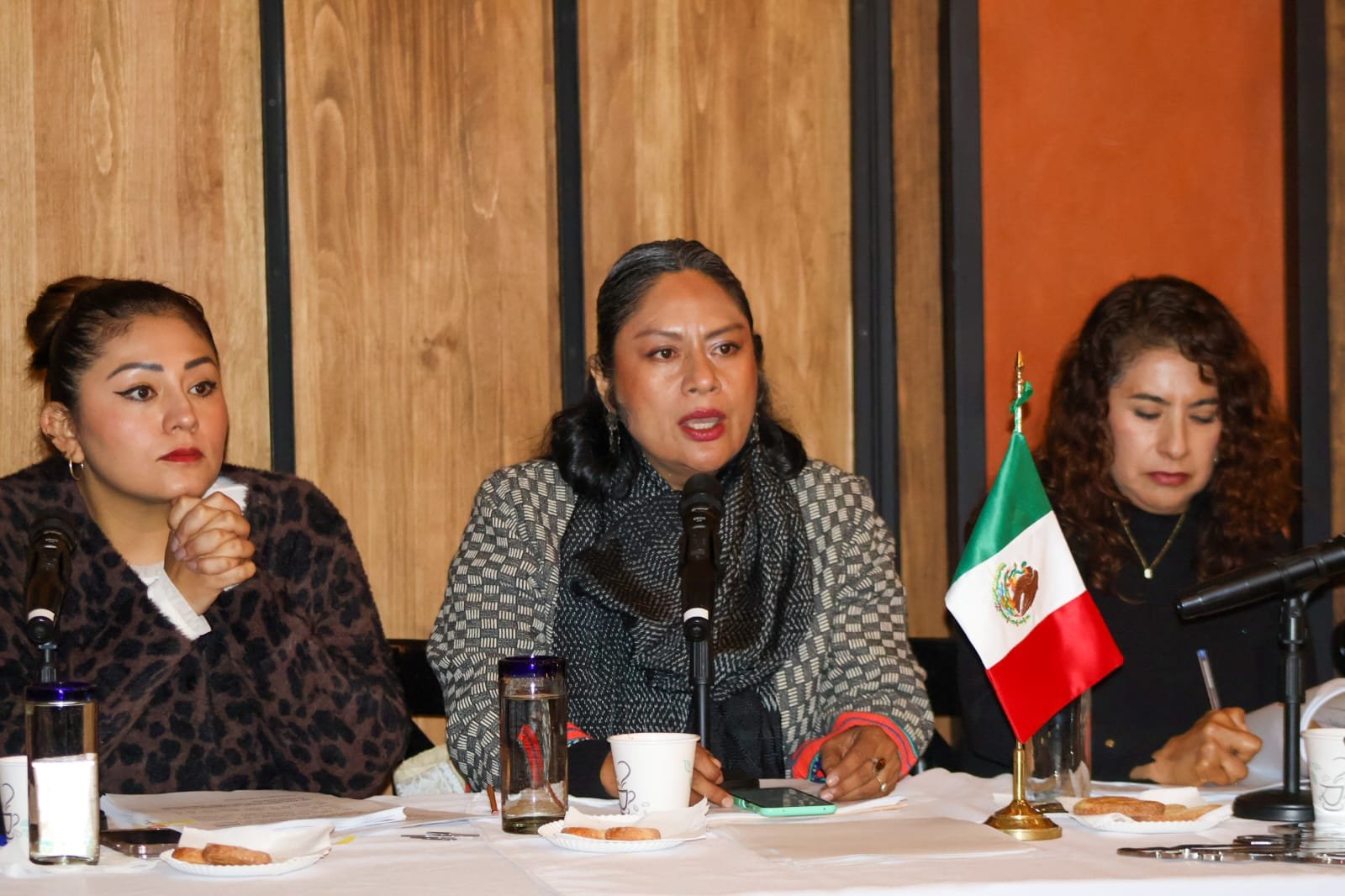 La diputada plantea reducir a una sola revisión al año al señalar que el esquema vigente no mejora la calidad del aire y opera sin política ambiental integral.