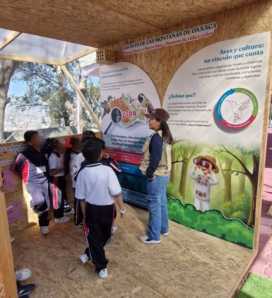 𝙉𝙞ñ𝙖𝙨 𝙮 𝙣𝙞ñ𝙤𝙨 𝙙𝙚 𝙎𝙖𝙣 𝙋𝙖𝙗𝙡𝙤 𝙀𝙩𝙡𝙖 𝙧𝙚𝙘𝙤𝙧𝙧𝙞𝙚𝙧𝙤𝙣 Ñ𝙪𝙪 𝙆𝙪𝙪, 𝙪𝙣 𝙚𝙨𝙥𝙖𝙘𝙞𝙤 𝙙𝙤𝙣𝙙𝙚 𝙖𝙫𝙚𝙨, 𝙞𝙣𝙨𝙚𝙘𝙩𝙤𝙨 𝙮 𝙥𝙡𝙖𝙣𝙩𝙖𝙨 𝙨𝙚 𝙘𝙤𝙣𝙫𝙞𝙚𝙧𝙩𝙚𝙣 𝙚𝙣 𝙖𝙪𝙡𝙖 𝙫𝙞𝙫𝙖.