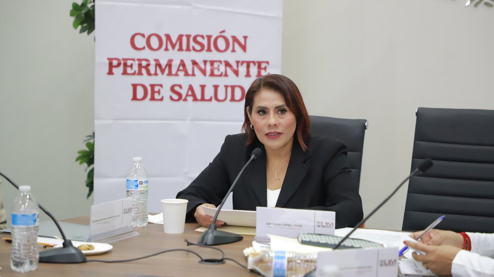  La diputada Tania López López tuvo una participación activa en la reunión de la Comisión de Salud con el secretario del ramo, donde se abordaron avances y retos del sistema sanitario en Oaxaca.