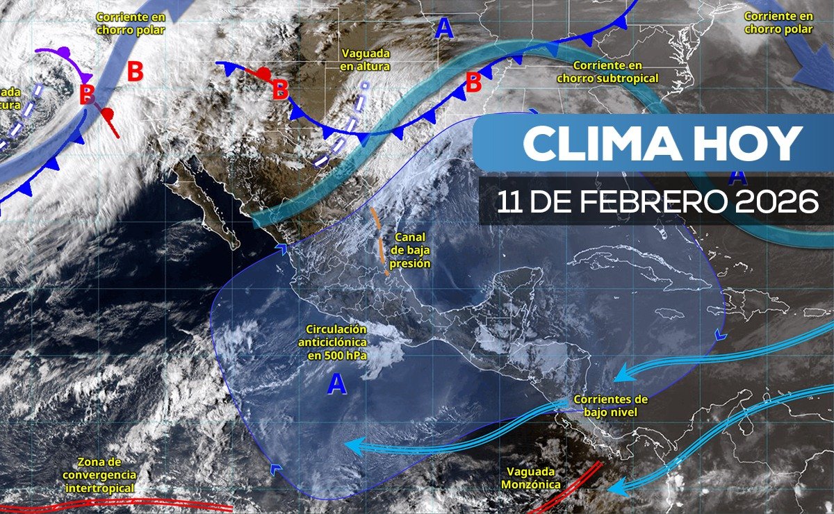 𝗔𝗺𝗮𝗻𝗲𝗰𝗲 𝗰𝗼𝗻 𝗰𝗮𝗹𝗶𝗺𝗮 𝘆 𝗰𝗮𝗹𝗼𝗿 𝗲𝗻 𝗮𝘂𝗺𝗲𝗻𝘁𝗼: 𝗮𝘀í 𝘀𝗲𝗿á 𝗲𝗹 𝗺𝗶é𝗿𝗰𝗼𝗹𝗲𝘀 𝗲𝗻 𝗢𝗮𝘅𝗮𝗰𝗮.