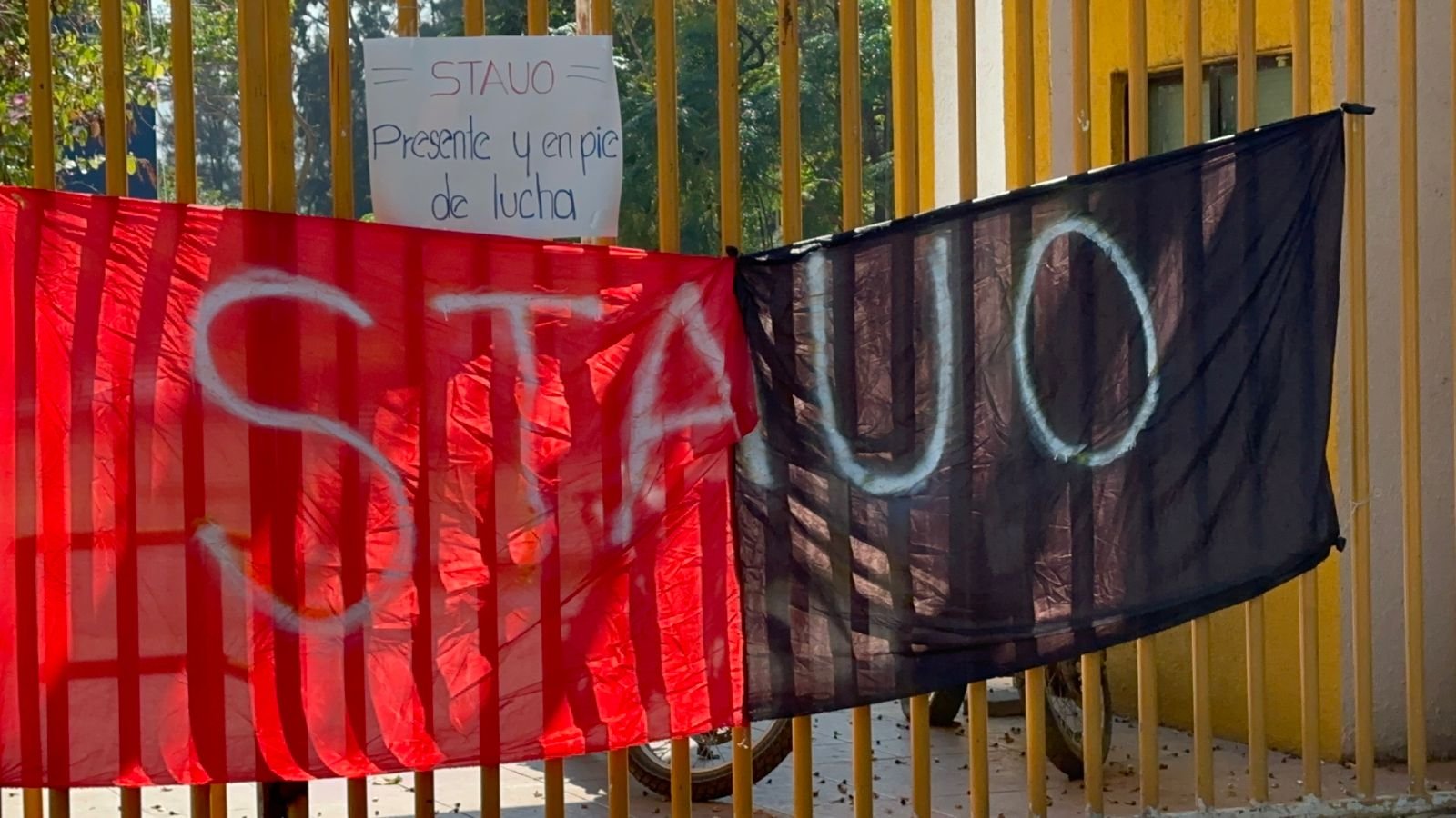 𝗦𝗧𝗔𝗨𝗢 𝗮𝗻𝘂𝗻𝗰𝗶𝗮 𝗽𝗼𝘀𝗶𝗯𝗹𝗲 𝗵𝘂𝗲𝗹𝗴𝗮 𝗲𝗹 𝟮𝟮 𝗱𝗲 𝗳𝗲𝗯𝗿𝗲𝗿𝗼 𝗲𝗻 𝗹𝗮 𝗨𝗔𝗕𝗝𝗢.