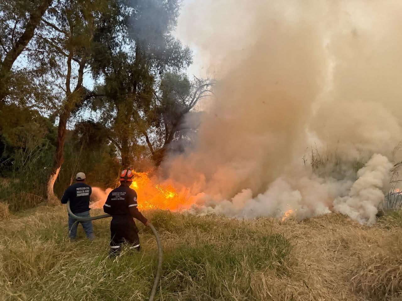 𝗗𝗲𝘁𝗶𝗲𝗻𝗲𝗻 𝗮 𝗽𝗿𝗲𝘀𝘂𝗻𝘁𝗼 𝗿𝗲𝘀𝗽𝗼𝗻𝘀𝗮𝗯𝗹𝗲 𝘁𝗿𝗮𝘀 𝗶𝗻𝗰𝗲𝗻𝗱𝗶𝗼 𝗲𝗻 𝗹𝗮𝘀 𝗿𝗶𝗯𝗲𝗿𝗮𝘀 𝗱𝗲𝗹 𝗥𝗶́𝗼 𝗔𝘁𝗼𝘆𝗮𝗰