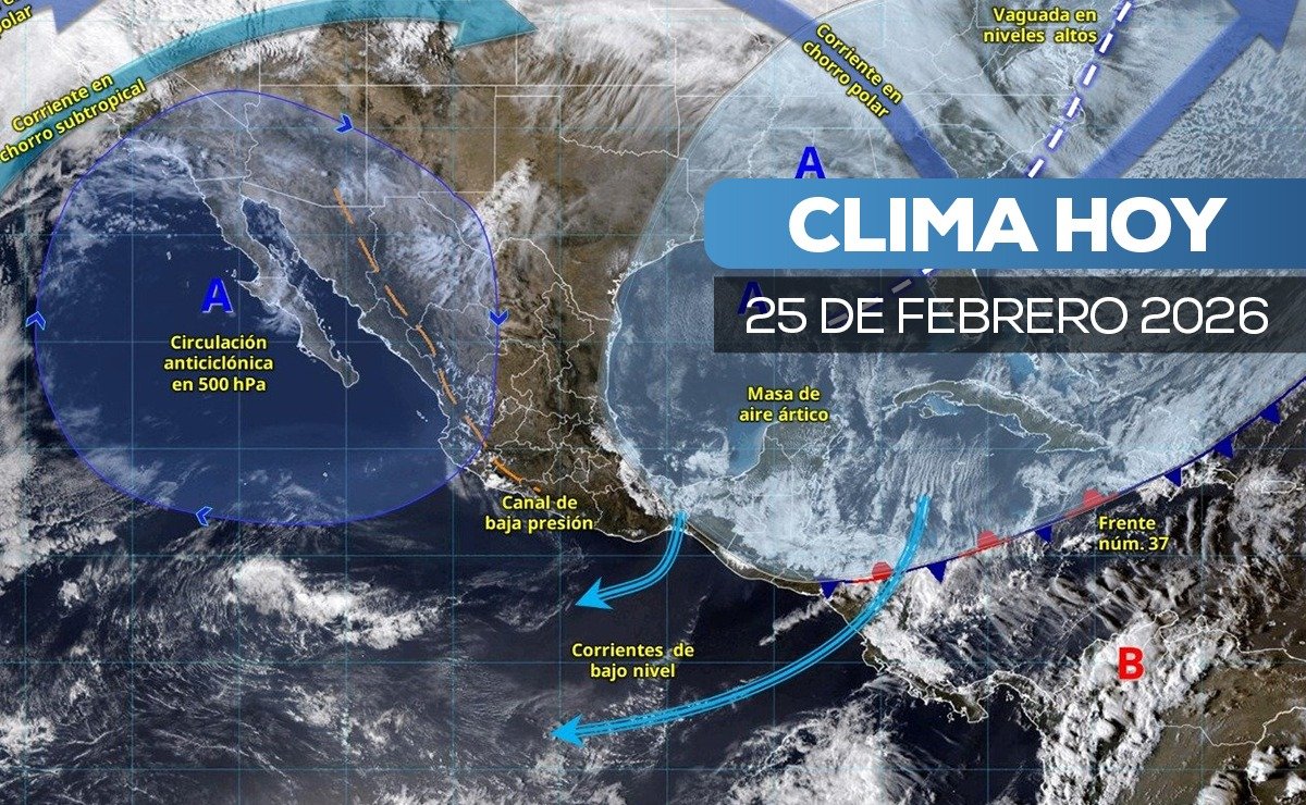 𝗦𝘂𝗯𝗲 𝗲𝗹 𝘁𝗲𝗿𝗺𝗼́𝗺𝗲𝘁𝗿𝗼 𝘆 𝗮𝗿𝗿𝗲𝗰𝗶𝗮 𝗲𝗹 𝘃𝗶𝗲𝗻𝘁𝗼 𝗲𝗻 𝗢𝗮𝘅𝗮𝗰𝗮: 𝗮𝗹𝗲𝗿𝘁𝗮 𝗽𝗼𝗿 𝗼𝗹𝗲𝗮𝗷𝗲 𝘆 𝗿𝗶𝗲𝘀𝗴𝗼 𝗱𝗲 𝗶𝗻𝗰𝗲𝗻𝗱𝗶𝗼𝘀.