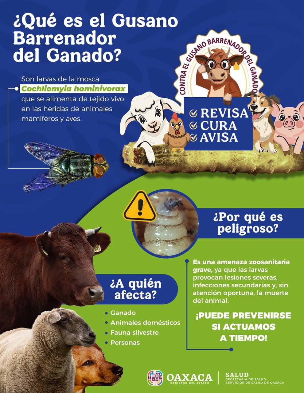 𝗚𝘂𝘀𝗮𝗻𝗼 𝗯𝗮𝗿𝗿𝗲𝗻𝗮𝗱𝗼𝗿: 𝗿𝗲𝗴𝗶𝘀𝘁𝗿𝗮𝗻 𝘀𝗲𝗶𝘀 𝗰𝗮𝘀𝗼𝘀 𝗲𝗻 𝗽𝗲𝗿𝘀𝗼𝗻𝗮𝘀 𝗲𝗻 𝗢𝗮𝘅𝗮𝗰𝗮