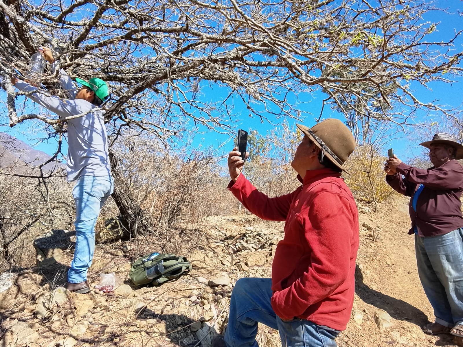 𝗜𝗻𝘀𝘁𝗮𝗹𝗮𝗻 𝘁𝗿𝗮𝗺𝗽𝗮𝘀 𝗲𝗻 𝗢𝗮𝘅𝗮𝗰𝗮 𝗽𝗮𝗿𝗮 𝗺𝗼𝗻𝗶𝘁𝗼𝗿𝗲𝗮𝗿 𝗮𝗹 𝗴𝘂𝘀𝗮𝗻𝗼 𝗯𝗮𝗿𝗿𝗲𝗻𝗮𝗱𝗼𝗿