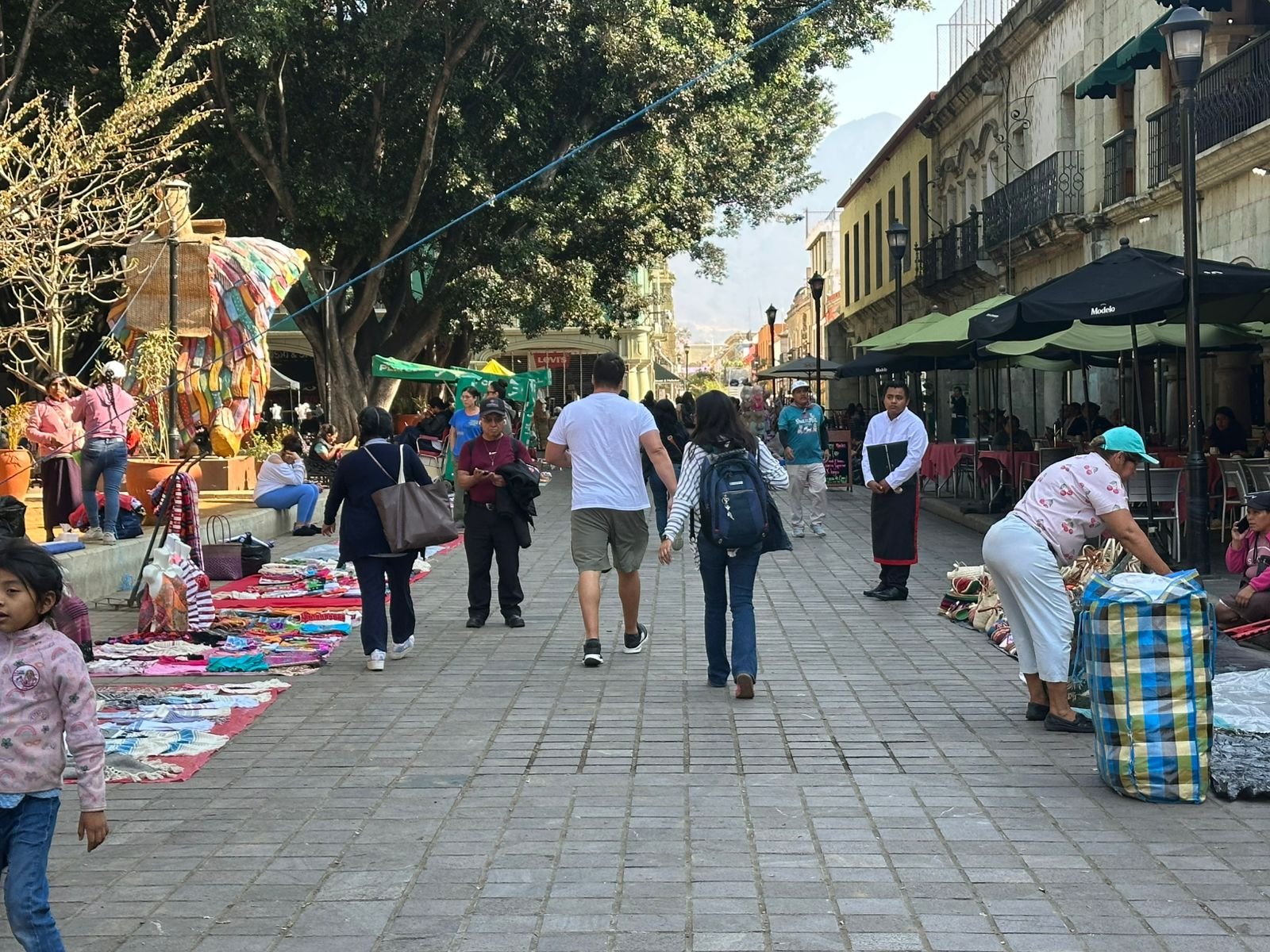 𝗣𝗮𝗿𝗼 𝗺𝗮𝗴𝗶𝘀𝘁𝗲𝗿𝗶𝗮𝗹 𝗹𝗹𝗲𝗻𝗮 𝗲𝗹 𝘇ó𝗰𝗮𝗹𝗼: 𝗰𝗼𝗺𝗲𝗿𝗰𝗶𝗮𝗻𝘁𝗲𝘀 𝘁𝗼𝗺𝗮𝗻 𝗲𝗹 𝗰𝗲𝗻𝘁𝗿𝗼 𝗽𝗼𝗿 𝘁𝗿𝗲𝘀 𝗱í𝗮𝘀.