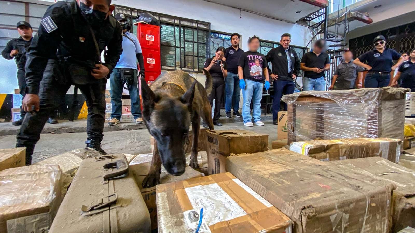 𝗔𝘀𝗲𝗴𝘂𝗿𝗮𝗻 𝗱𝗿𝗼𝗴𝗮 𝘆 𝗮𝗿𝗺𝗮𝘀 𝘁𝗿𝗮𝘀 𝗿𝗲𝘃𝗶𝘀𝗶𝗼𝗻𝗲𝘀 𝗲𝗻 𝗽𝗮𝗾𝘂𝗲𝘁𝗲𝗿𝗶́𝗮𝘀 𝗱𝗲 𝗢𝗮𝘅𝗮𝗰𝗮