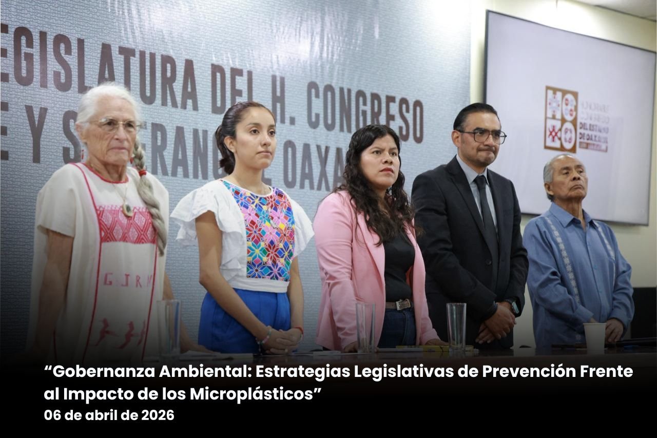 Los 𝗠𝗶𝗰𝗿𝗼𝗽𝗹𝗮́𝘀𝘁𝗶𝗰𝗼𝘀 son 𝗲𝗹 𝗲𝗻𝗲𝗺𝗶𝗴𝗼 𝗶𝗻𝘃𝗶𝘀𝗶𝗯𝗹𝗲 𝗹𝗹𝗲𝗴𝗮 𝗮𝗹 𝗖𝗼𝗻𝗴𝗿𝗲𝘀𝗼 𝗱𝗲 𝗢𝗮𝘅𝗮𝗰𝗮.