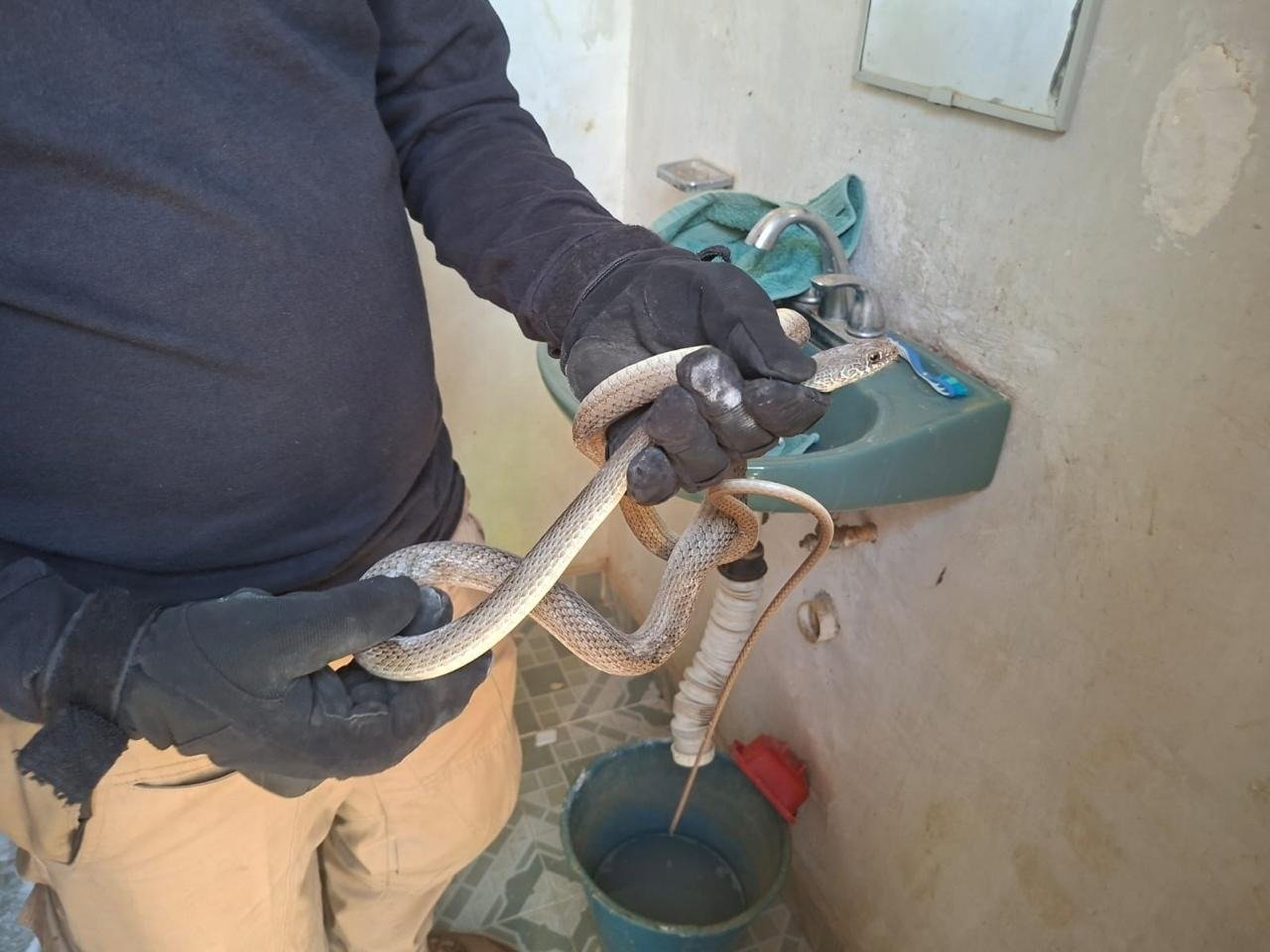 𝗠á𝘀 𝗱𝗲 𝟭𝟬𝟬 𝗮𝘁𝗲𝗻𝗰𝗶𝗼𝗻𝗲𝘀 𝗲𝗻 𝗫𝗼𝘅𝗼𝗰𝗼𝘁𝗹á𝗻 𝗱𝘂𝗿𝗮𝗻𝘁𝗲 𝗦𝗲𝗺𝗮𝗻𝗮 𝗦𝗮𝗻𝘁𝗮