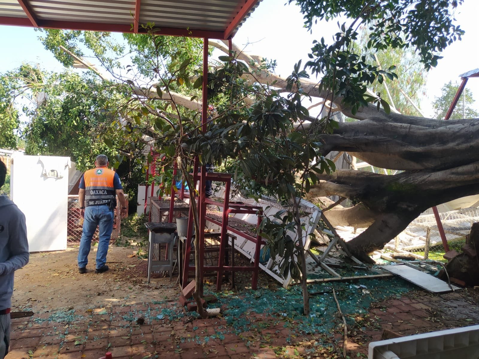 𝗧𝗿𝗮𝘀 𝗹𝗹𝘂𝘃𝗶𝗮𝘀, 𝗺𝗮𝗻𝘁𝗶𝗲𝗻𝗲𝗻 𝗼𝗽𝗲𝗿𝗮𝘁𝗶𝘃𝗼 𝗲𝗻 𝗢𝗮𝘅𝗮𝗰𝗮 𝗱𝗲 𝗝𝘂á𝗿𝗲𝘇