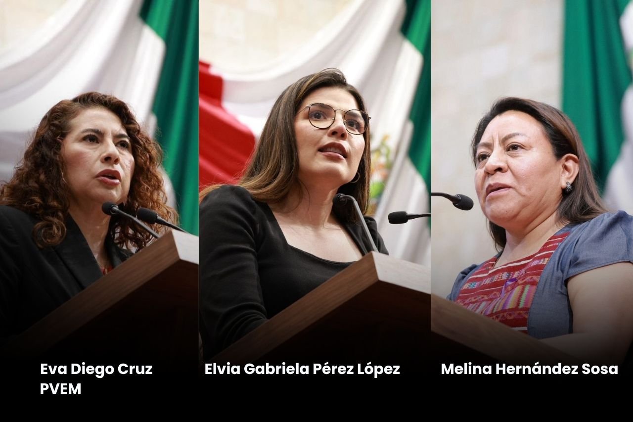 𝗣𝗿𝗼𝗽𝗼𝗻𝗲𝗻 𝗻𝗲𝗴𝗮𝗿 𝗹𝗶𝗰𝗲𝗻𝗰𝗶𝗮 𝗱𝗲 𝗰𝗼𝗻𝗱𝘂𝗰𝗶𝗿 𝗮 𝗱𝗲𝘂𝗱𝗼𝗿𝗲𝘀 𝗮𝗹𝗶𝗺𝗲𝗻𝘁𝗮𝗿𝗶𝗼𝘀 𝗲𝗻 𝗢𝗮𝘅𝗮𝗰𝗮