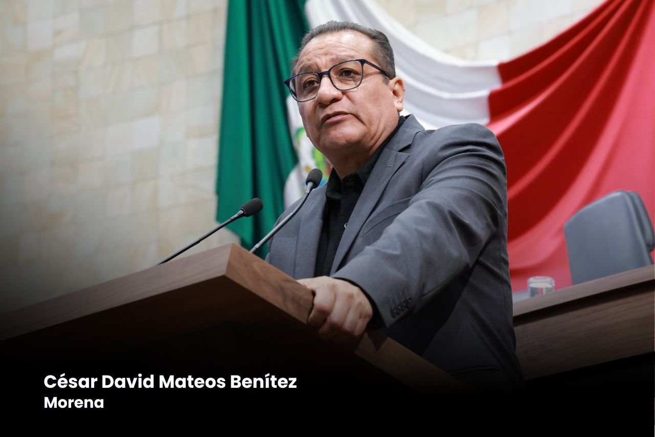 𝗣𝗹𝗮𝗻𝘁𝗲𝗮𝗻 𝗰𝗿𝗲𝗺𝗮𝘁𝗼𝗿𝗶𝗼𝘀 𝗽ú𝗯𝗹𝗶𝗰𝗼𝘀 𝗲𝗻 𝗢𝗮𝘅𝗮𝗰𝗮 𝗽𝗮𝗿𝗮 𝗿𝗲𝗴𝘂𝗹𝗮𝗿 𝗰𝗼𝘀𝘁𝗼𝘀 𝘆 𝗮𝗺𝗽𝗹𝗶𝗮𝗿 𝗲𝗹 𝗮𝗰𝗰𝗲𝘀𝗼