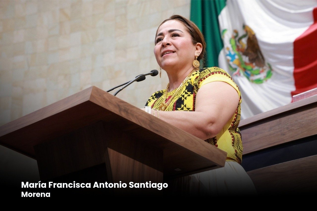 𝗕𝘂𝘀𝗰𝗮𝗻 𝗼𝗯𝗹𝗶𝗴𝗮𝗿 𝗮 𝗽𝘂𝗯𝗹𝗶𝗰𝗮𝗿 𝘁𝗮𝗿𝗶𝗳𝗮𝘀 𝗱𝗲 𝗴𝗿𝘂́𝗮𝘀 𝘆 𝗲𝗻𝗰𝗶𝗲𝗿𝗿𝗼𝘀 𝗲𝗻 𝗢𝗮𝘅𝗮𝗰𝗮 𝗽𝗮𝗿𝗮 𝗳𝗿𝗲𝗻𝗮𝗿 𝗰𝗼𝗯𝗿𝗼𝘀 𝗲𝘅𝗰𝗲𝘀𝗶𝘃𝗼𝘀