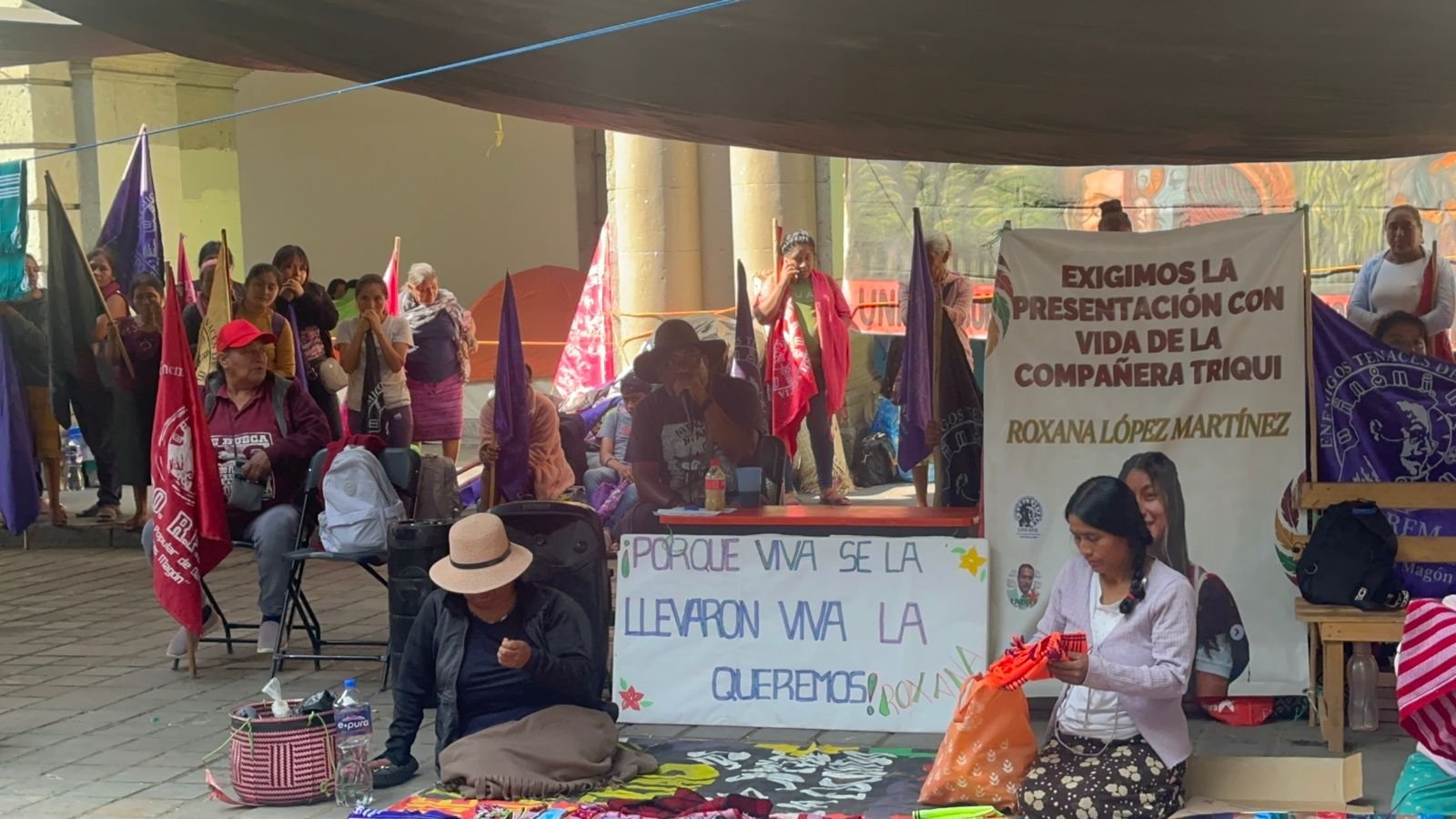 𝗖𝗜𝗣𝗢 𝘀𝗲 𝗶𝗻𝘀𝘁𝗮𝗹𝗮 𝗲𝗻 𝗽𝗹𝗮𝗻𝘁ó𝗻 𝗳𝗿𝗲𝗻𝘁𝗲 𝗮 𝗣𝗮𝗹𝗮𝗰𝗶𝗼; 𝗲𝘅𝗶𝗴𝗲𝗻 𝗷𝘂𝘀𝘁𝗶𝗰𝗶𝗮 𝗽𝗮𝗿𝗮 𝗥𝗼𝘅𝗮𝗻𝗮 𝗟ó𝗽𝗲𝘇  
