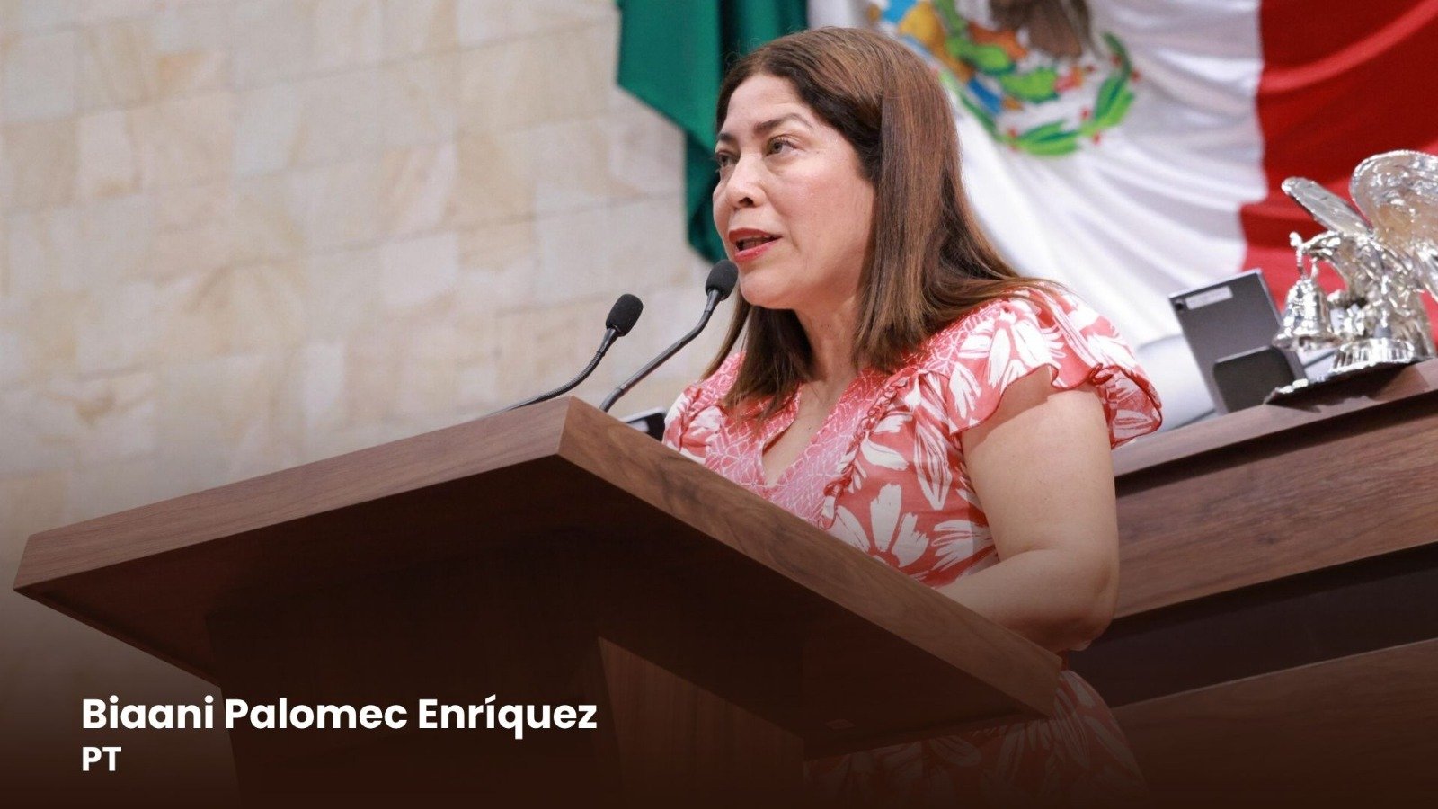 𝗣𝗜𝗗𝗘𝗡 𝗜𝗡𝗩𝗘𝗦𝗧𝗜𝗚𝗔𝗥 𝗥𝗜𝗘𝗦𝗚𝗢 𝗛Í𝗗𝗥𝗜𝗖𝗢 𝗘𝗡 𝗙𝗥𝗔𝗖𝗖𝗜𝗢𝗡𝗔𝗠𝗜𝗘𝗡𝗧𝗢 𝗗𝗘 𝗧𝗟𝗔𝗖𝗢𝗟𝗨𝗟𝗔 𝗧𝗥𝗔𝗦 𝗜𝗡𝗨𝗡𝗗𝗔𝗖𝗜𝗢𝗡𝗘𝗦