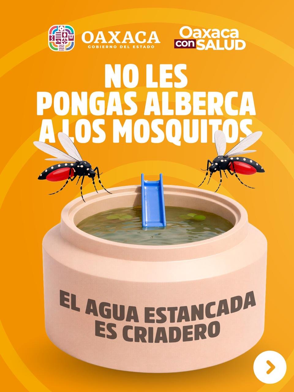 𝗟𝗟𝗔𝗠𝗔𝗡 𝗔 𝗥𝗘𝗙𝗢𝗥𝗭𝗔𝗥 𝗠𝗘𝗗𝗜𝗗𝗔𝗦 𝗣𝗔𝗥𝗔 𝗣𝗥𝗘𝗩𝗘𝗡𝗜𝗥 𝗘𝗟 𝗗𝗘𝗡𝗚𝗨𝗘 𝗘𝗡 𝗢𝗔𝗫𝗔𝗖𝗔