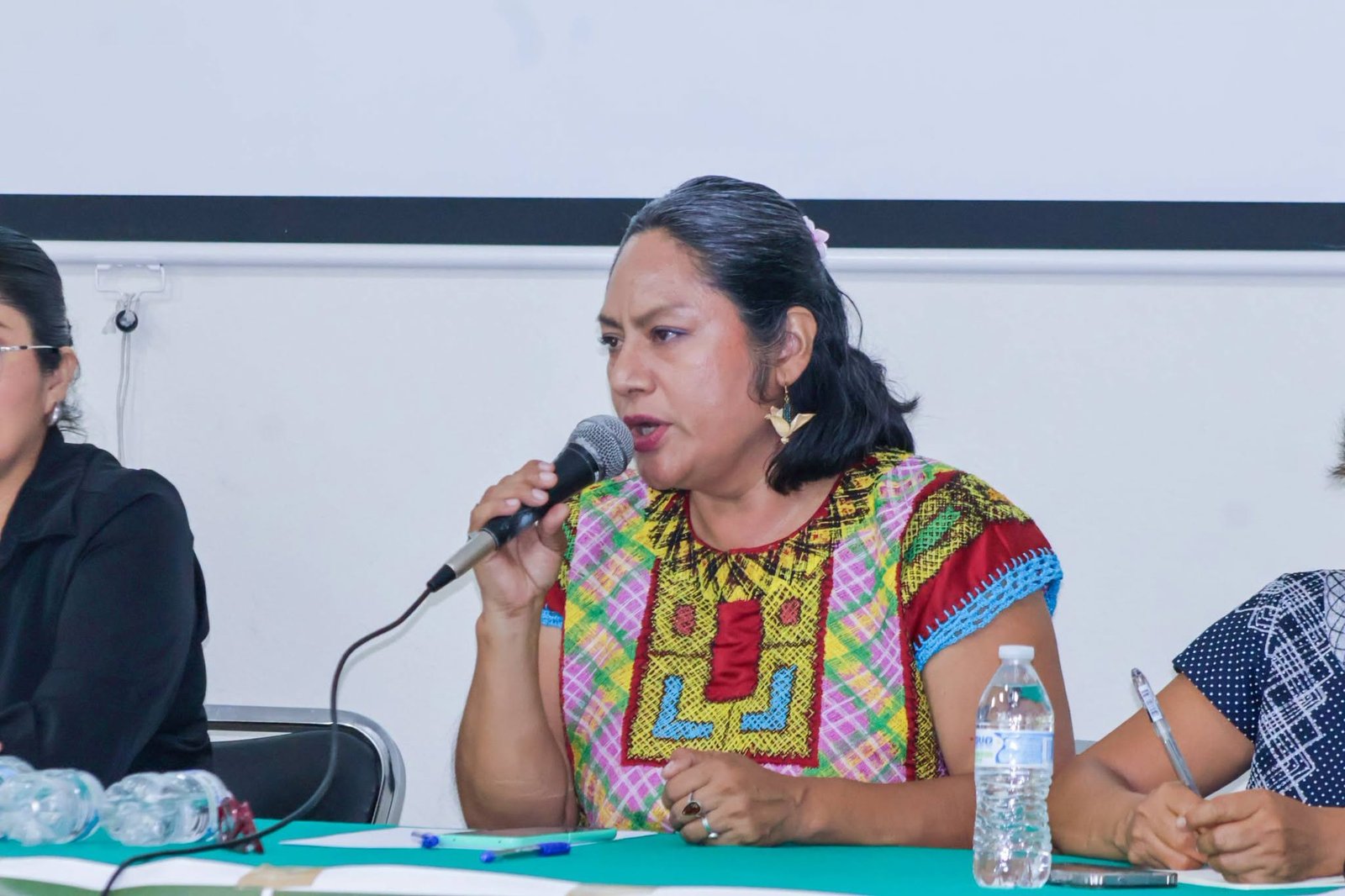 𝗜𝗺𝗽𝘂𝗹𝘀𝗮𝗻 𝗲𝗻 𝗢𝗮𝘅𝗮𝗰𝗮 𝗹𝗮 𝗰𝗿𝗲𝗮𝗰𝗶ó𝗻 𝗱𝗲 𝘂𝗻𝗮 𝗟𝗲𝘆 𝗱𝗲 𝗠𝗲𝗺𝗼𝗿𝗶𝗮 𝗽𝗮𝗿𝗮 𝗹𝗮𝘀 𝘃í𝗰𝘁𝗶𝗺𝗮𝘀 𝗱𝗲 𝘃𝗶𝗼𝗹𝗮𝗰𝗶𝗼𝗻𝗲𝘀 𝗮 𝗱𝗲𝗿𝗲𝗰𝗵𝗼𝘀 𝗵𝘂𝗺𝗮𝗻𝗼𝘀