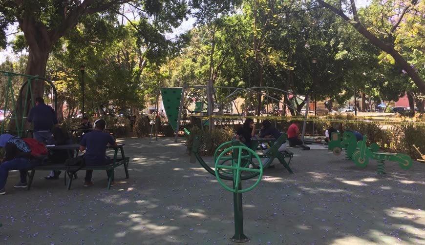 𝗖𝗼𝗻𝘀𝘂𝗹𝘁𝗮 𝗰𝗶𝘂𝗱𝗮𝗱𝗮𝗻𝗮 𝗱𝗲𝗳𝗶𝗻𝗶𝗿á 𝗲𝗹 𝗳𝘂𝘁𝘂𝗿𝗼 𝗱𝗲 𝘂𝗻𝗮 𝗷𝗮𝗿𝗱𝗶𝗻𝗲𝗿𝗮 𝗲𝗻 𝗘𝗹 𝗟𝗹𝗮𝗻𝗼