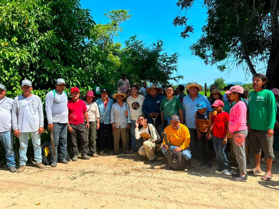 𝗥𝗲𝗳𝗼𝗿𝗲𝘀𝘁𝗮𝗰𝗶ó𝗻 𝘆 𝘁𝗲𝗾𝘂𝗶𝗼 𝗳𝗼𝗿𝘁𝗮𝗹𝗲𝗰𝗲𝗻 𝗹𝗮 𝗰𝗼𝗻𝘀𝗲𝗿𝘃𝗮𝗰𝗶ó𝗻 𝗱𝗲 𝗖𝗵𝗮𝗰𝗮𝗵𝘂𝗮