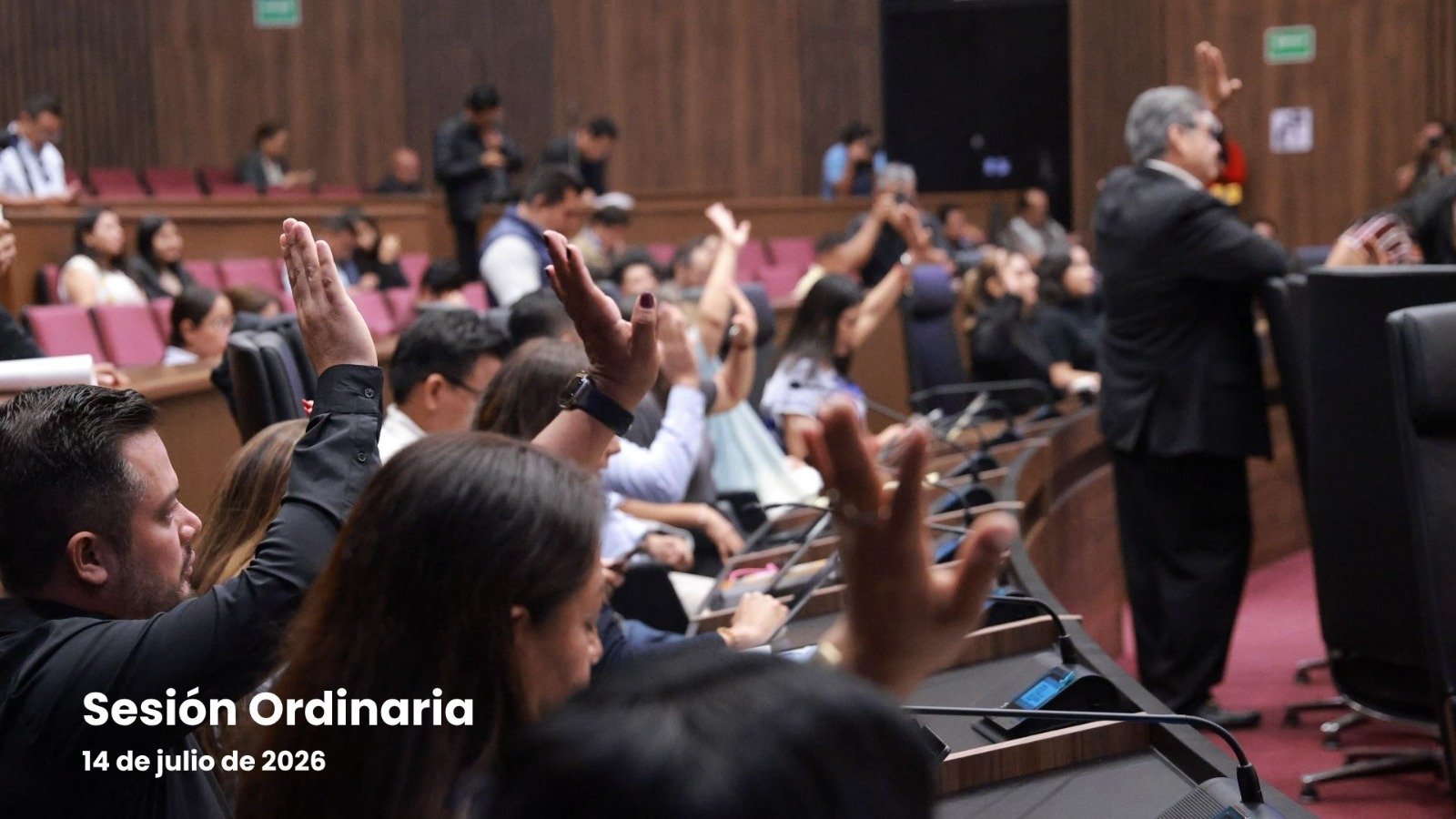𝗖𝗼𝗻𝗴𝗿𝗲𝘀𝗼 𝗱𝗲 𝗢𝗮𝘅𝗮𝗰𝗮 𝗮𝗽𝗿𝘂𝗲𝗯𝗮 𝗿𝗲𝗳𝗼𝗿𝗺𝗮 𝗽𝗮𝗿𝗮 𝗶𝗺𝗽𝘂𝗹𝘀𝗮𝗿 𝗹𝗮 𝗲𝘀𝘁𝗲𝗿𝗶𝗹𝗶𝘇𝗮𝗰𝗶ó𝗻 𝘆 𝗮𝗱𝗼𝗽𝗰𝗶ó𝗻 𝗱𝗲 𝗮𝗻𝗶𝗺𝗮𝗹𝗲𝘀 𝗲𝗻 𝘀𝗶𝘁𝘂𝗮𝗰𝗶ó𝗻 𝗱𝗲 𝗰𝗮𝗹𝗹𝗲