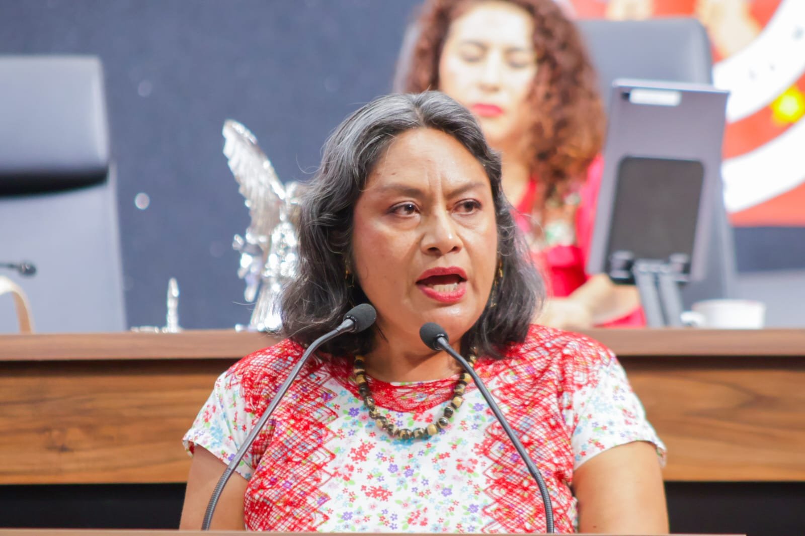 𝗜𝗿𝗺𝗮 𝗣𝗶𝗻𝗲𝗱𝗮 𝗲𝘅𝗶𝗴𝗲 𝗰𝘂𝗲𝗻𝘁𝗮𝘀 𝗽𝗼𝗿 𝗲𝗹 𝗿𝗲𝘇𝗮𝗴𝗼 𝗲𝗻 𝗹𝗮 𝗲𝗻𝘁𝗿𝗲𝗴𝗮 𝗱𝗲 𝘁í𝘁𝘂𝗹𝗼𝘀 𝗽𝗿𝗼𝗳𝗲𝘀𝗶𝗼𝗻𝗮𝗹𝗲𝘀