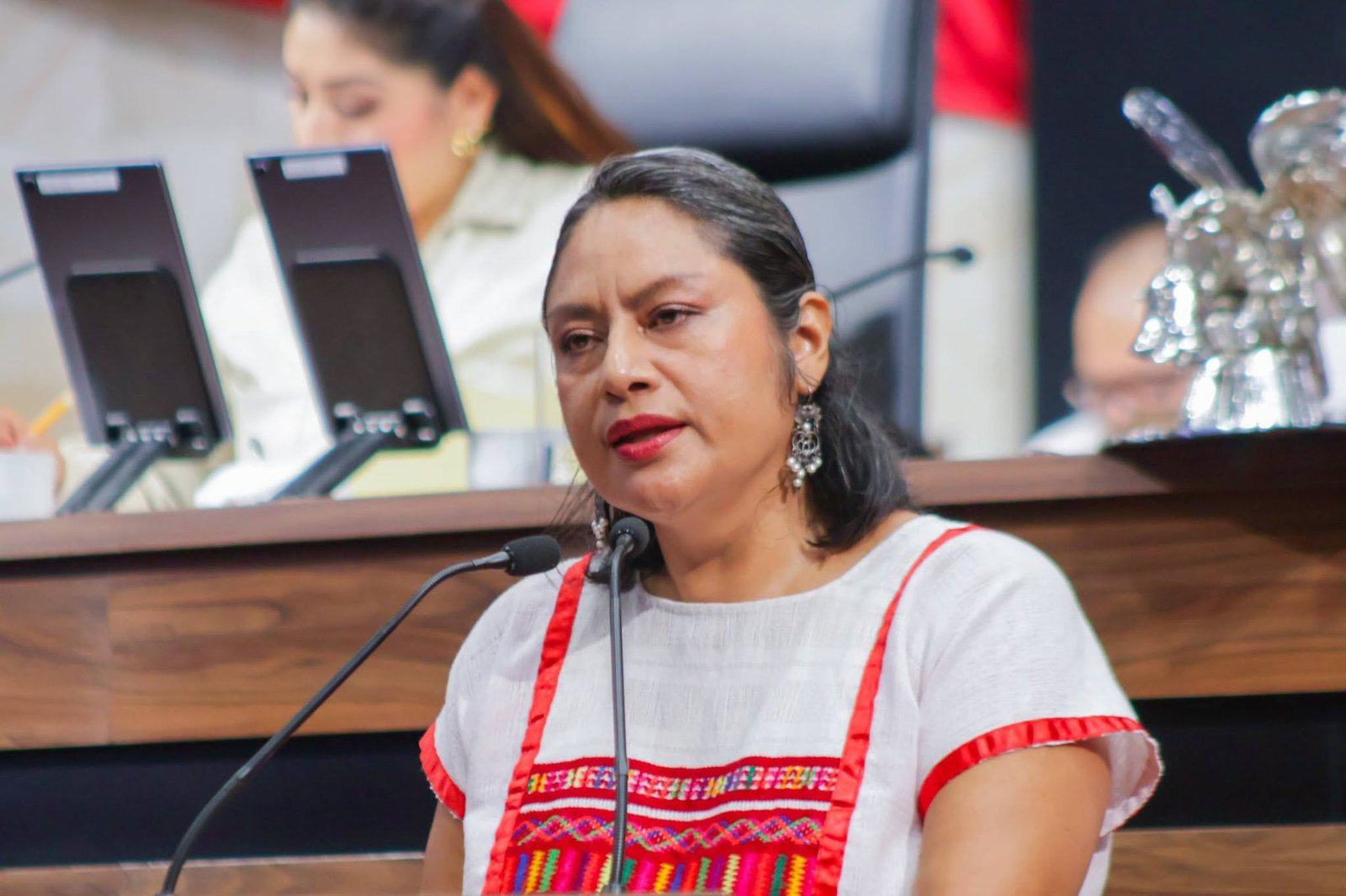 Proponen crear la Medalla al Mérito Literario "Rocío González López" en Oaxaca