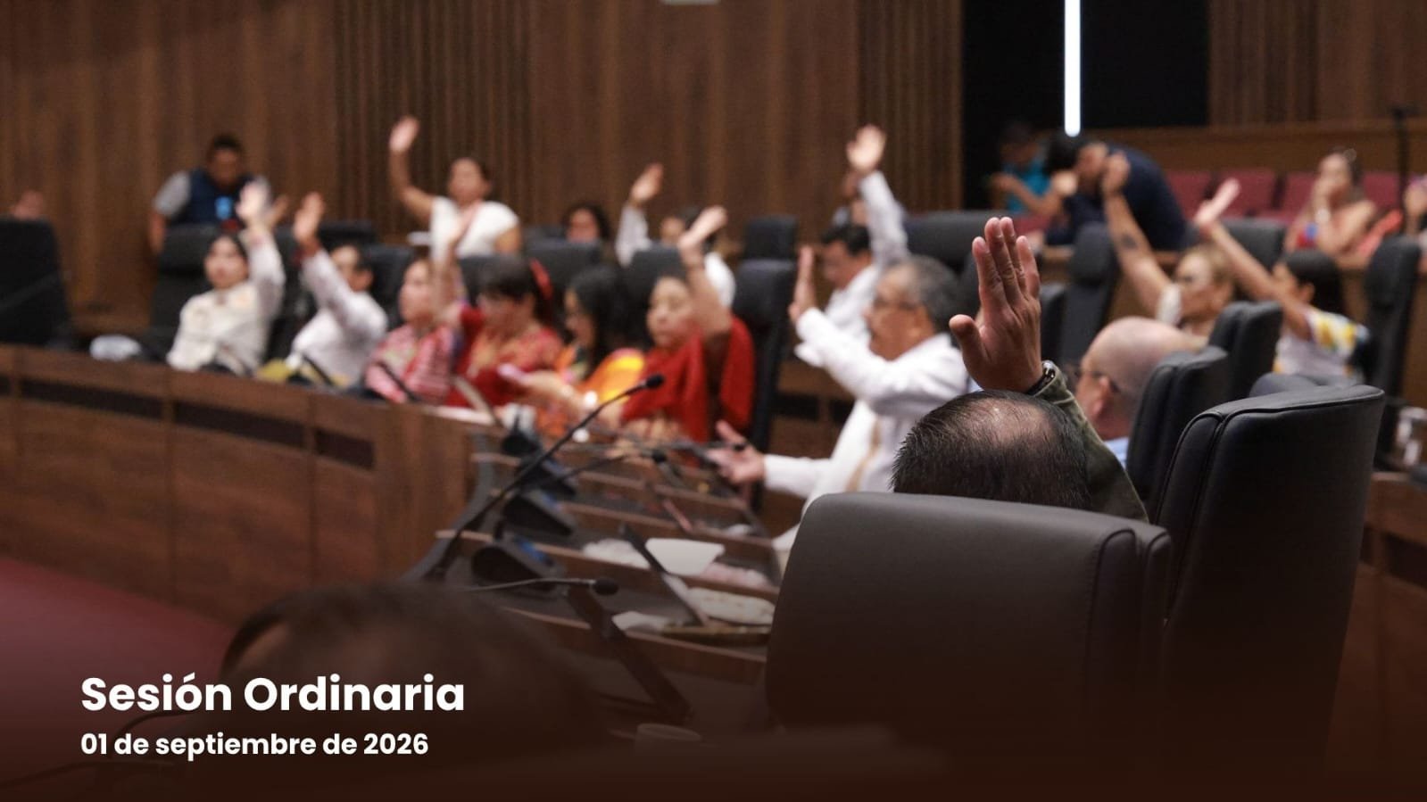 Congreso pide restringir cuatrimotos y vehículos 4x4 en playas donde anidan tortugas