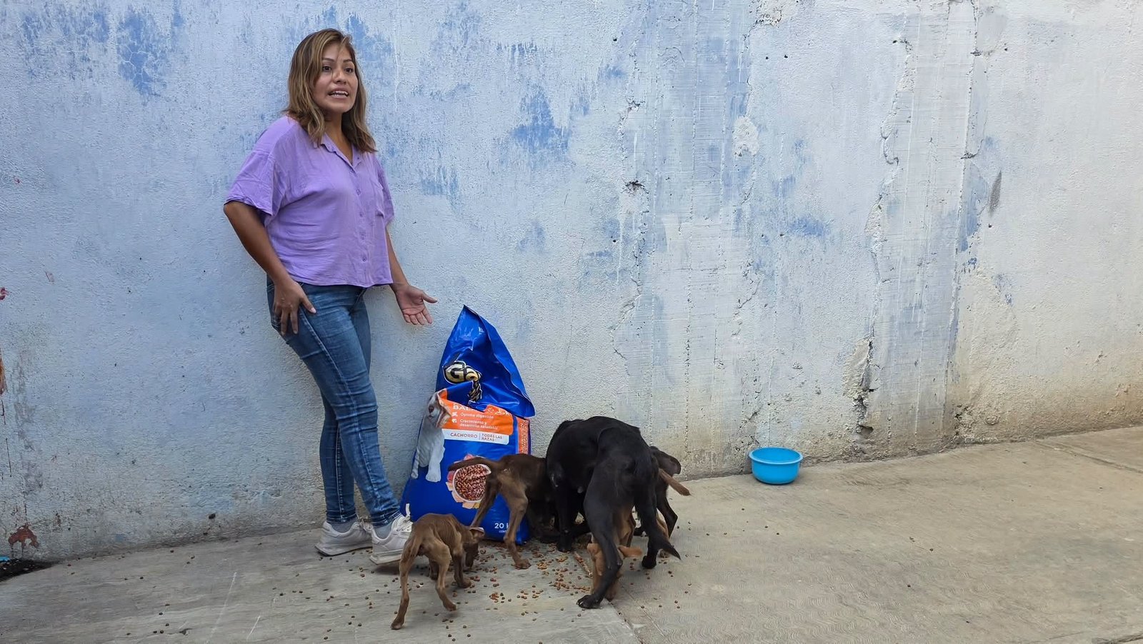 Resguardan a perrita y sus cachorros en San Jacinto Amilpas; serán preparados para adopción