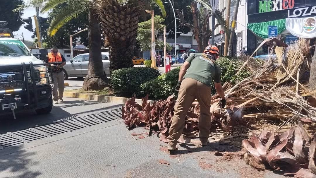 ▪︎ Protección Civil Municipal atendió el reporte sobre avenida Escuela Naval Militar para liberar la zona y evitar riesgos a peatones y automovilistas.
