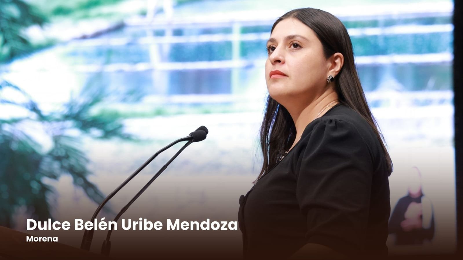 Proponen sancionar la violencia vial en Oaxaca con multas y suspensión de licencias