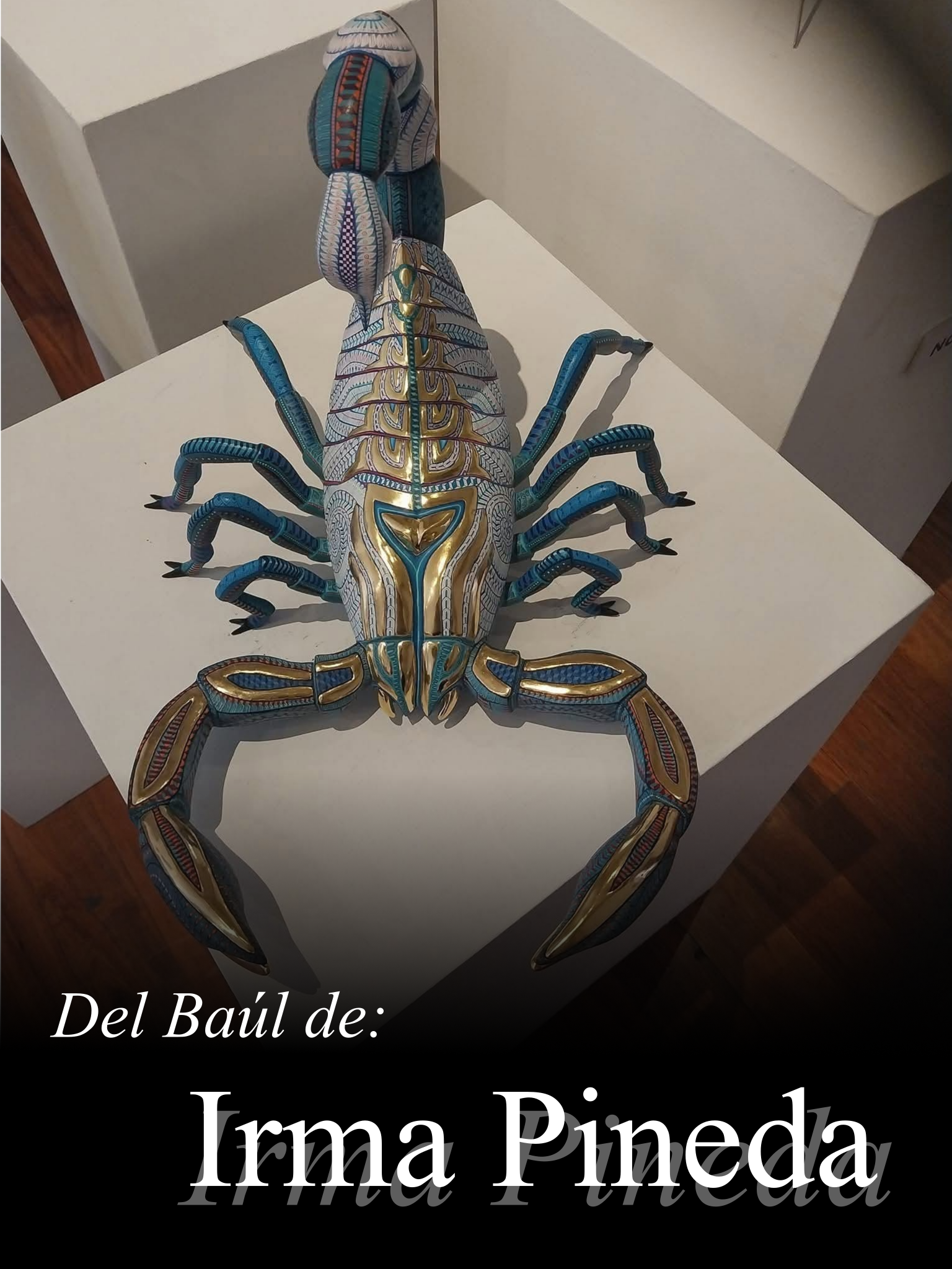 Del baúl de: Irma Pineda