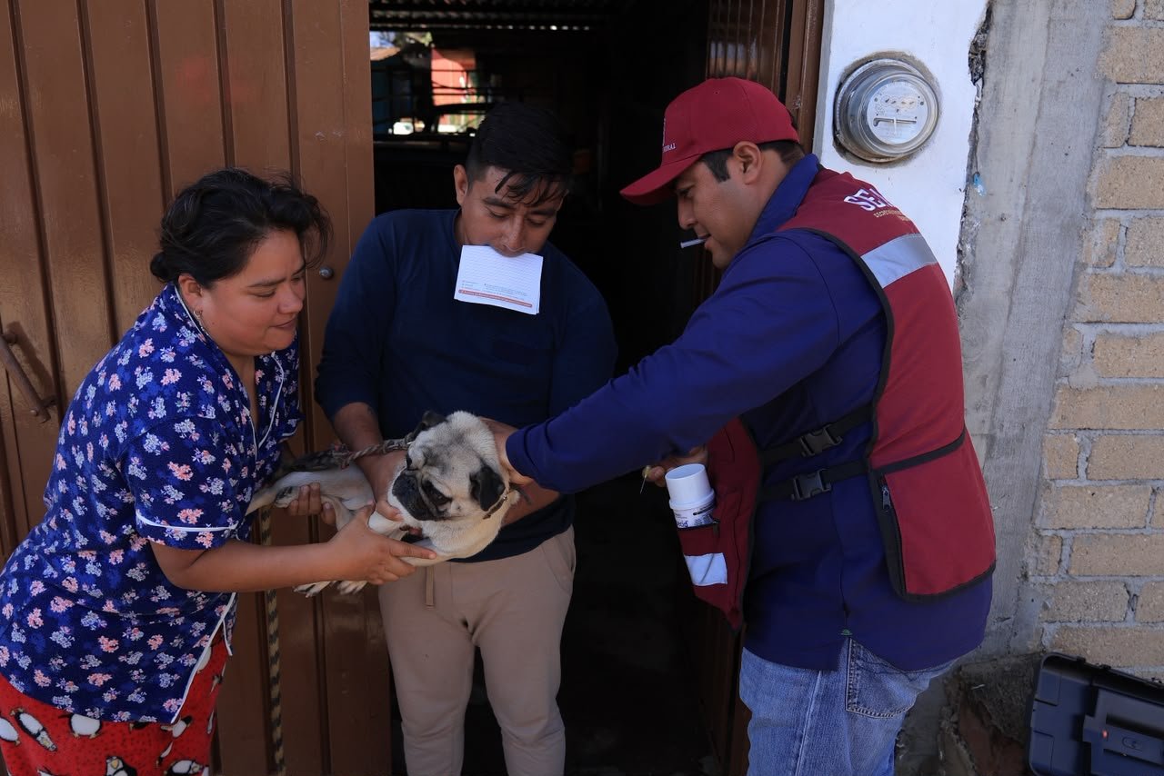 Xoxocotlán refuerza acciones preventivas contra el gusano barrenador