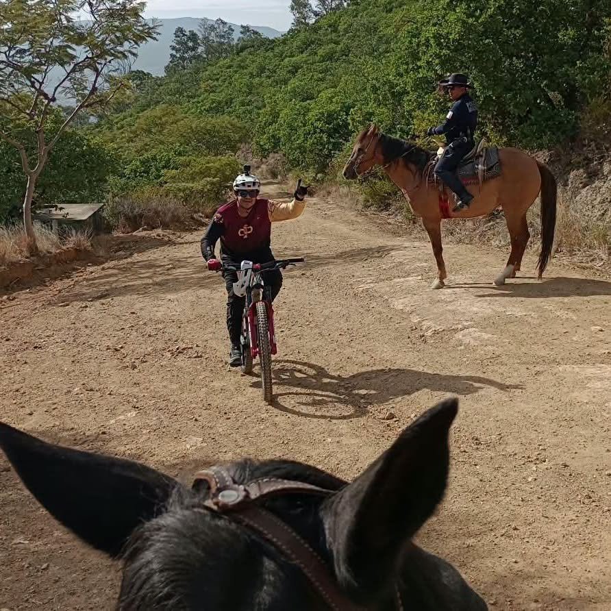 Policía Montada refuerza vigilancia en parques y espacios abiertos de Oaxaca de Juárez