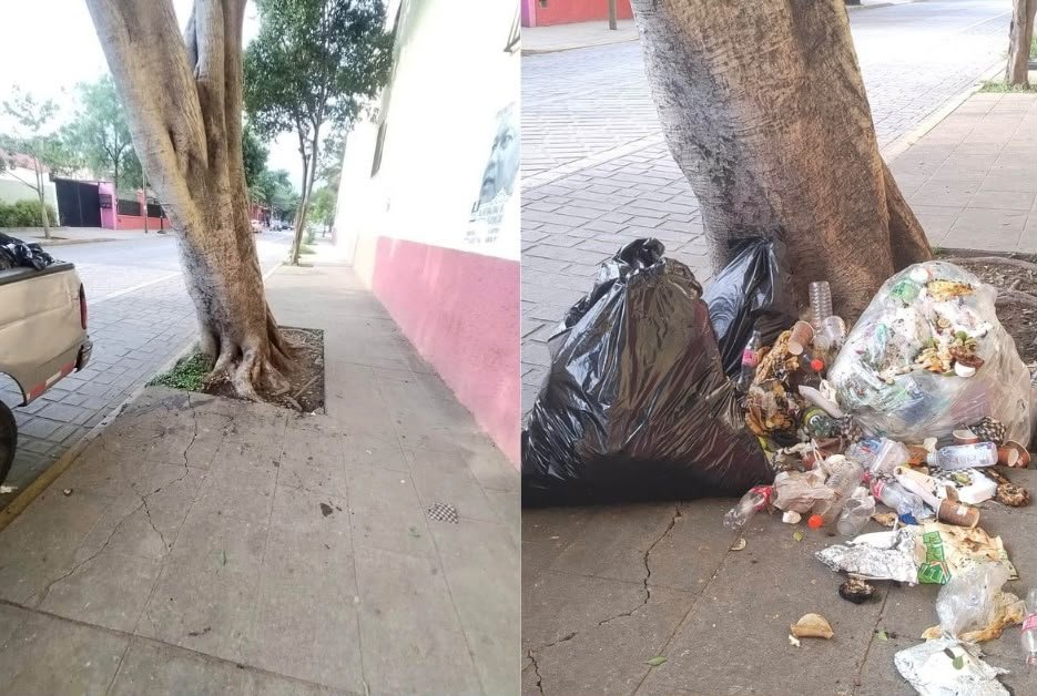 Recolectan más de una tonelada de residuos orgánicos en espacios públicos de Oaxaca de Juárez