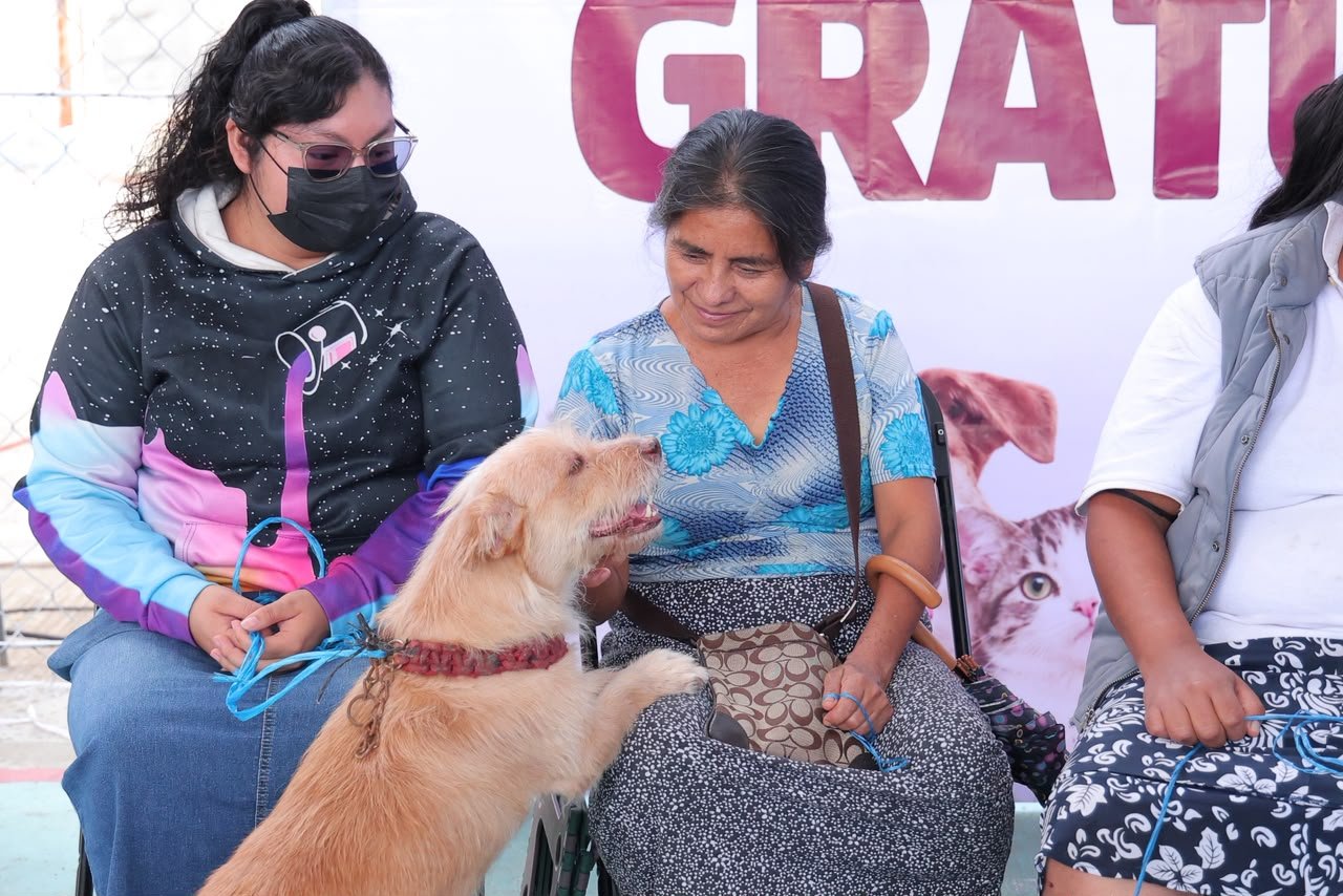 Realizan jornada gratuita de esterilización de perros y gatos en Santa Lucía del Camino