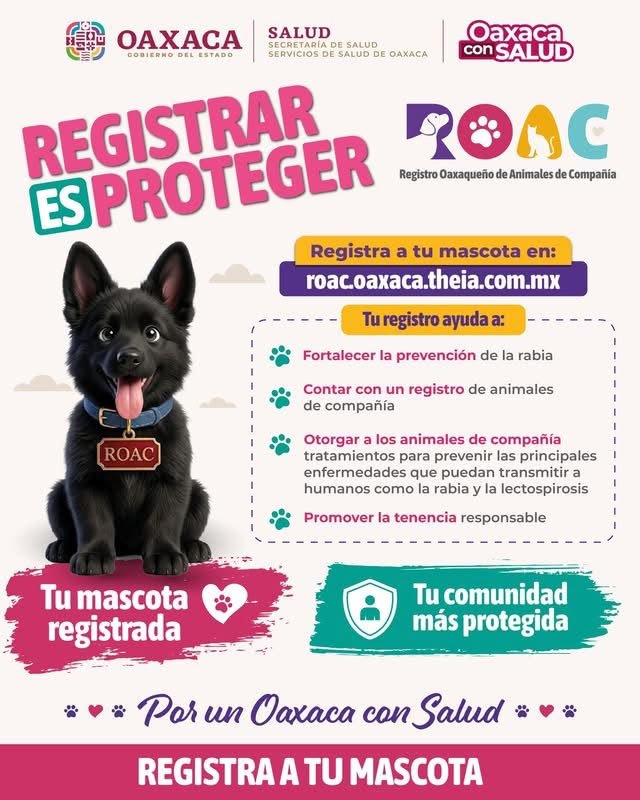 Oaxaca habilita registro gratuito para obtener el carnet de animales de compañía