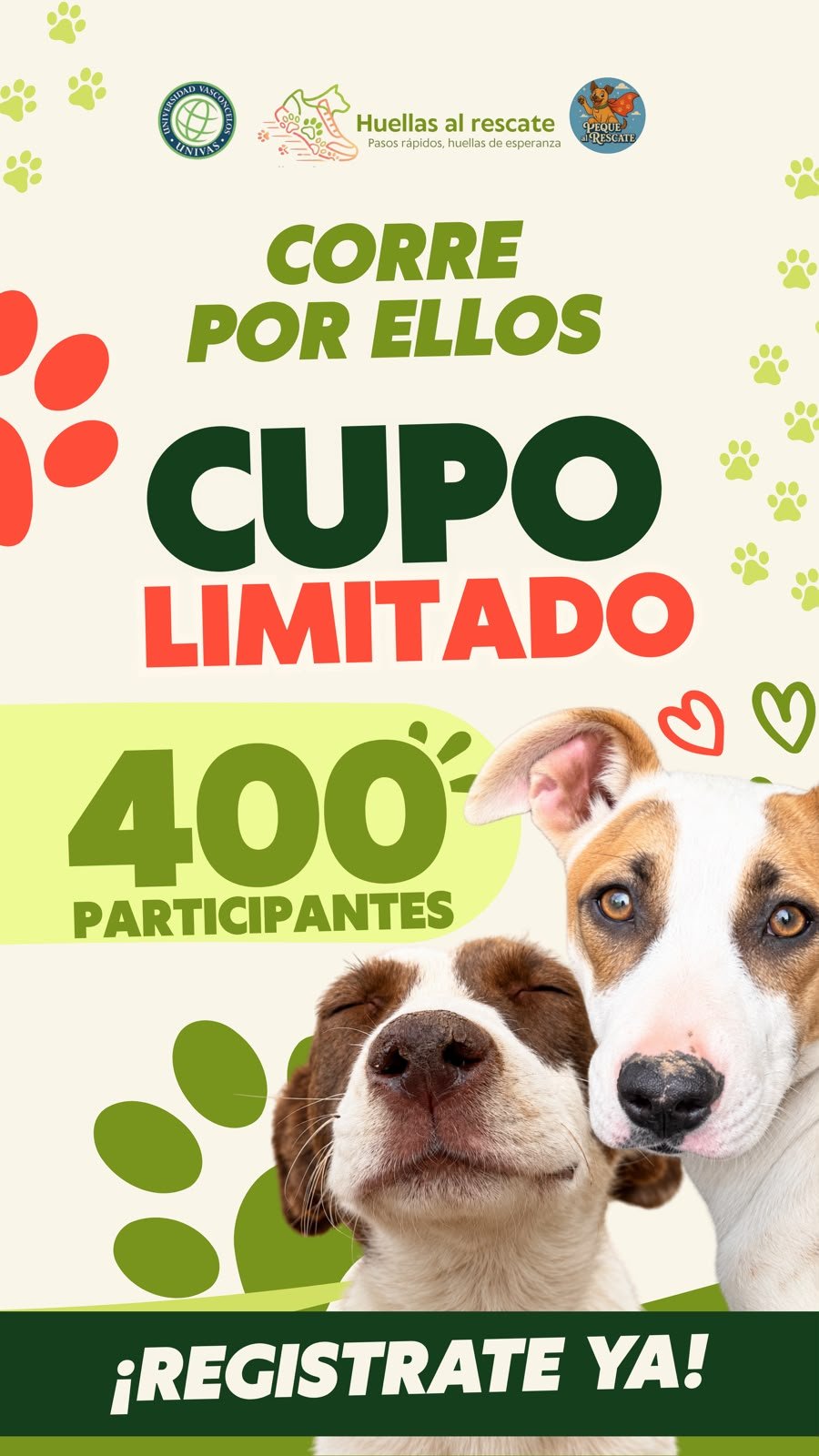 ¡Corre por ellos! Carrera en Oaxaca ayudará a alimentar y atender a 25 perritos rescatados