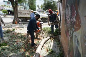 Las cuadrillas de trabajadores son profesionales